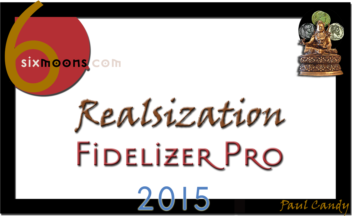 6moons Realsization Award 2015 for Fidelizer Pro